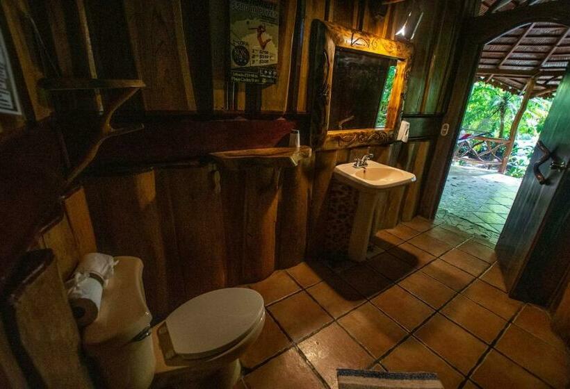 Бунгало Стандарт, La Costa De Papito