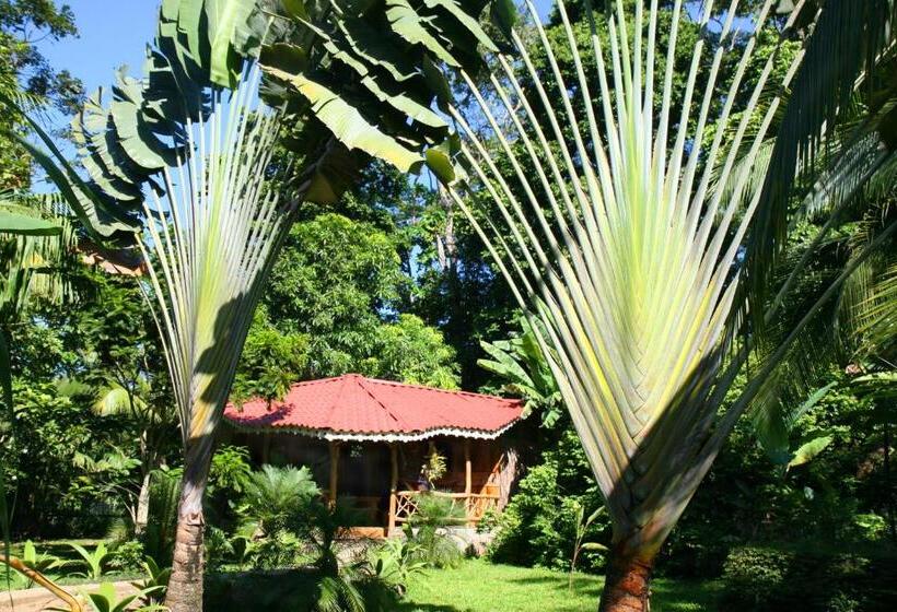 Бунгало Стандарт 2 Спальни, La Costa De Papito