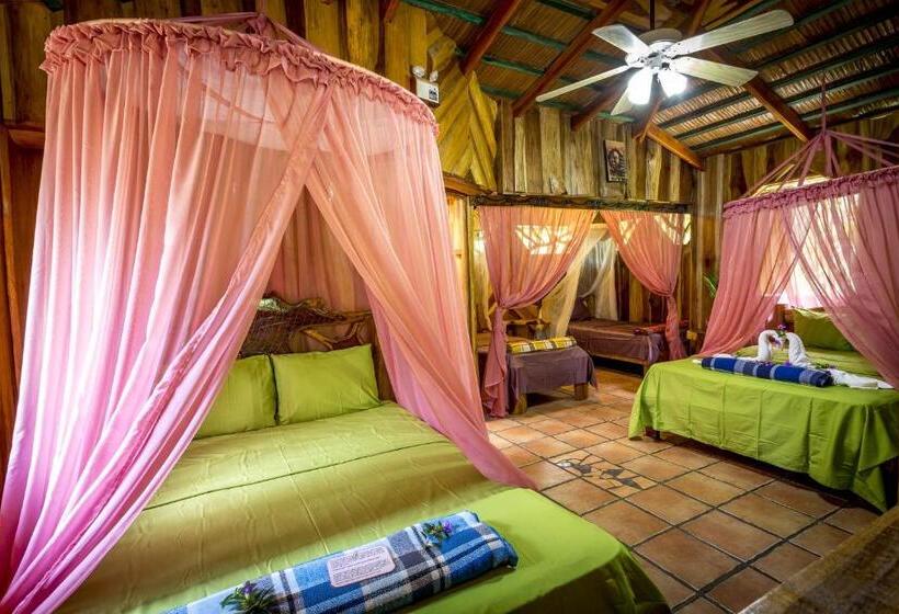 Бунгало Стандарт, La Costa De Papito