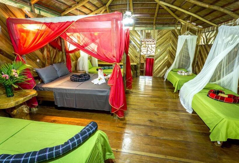 Бунгало Стандарт, La Costa De Papito