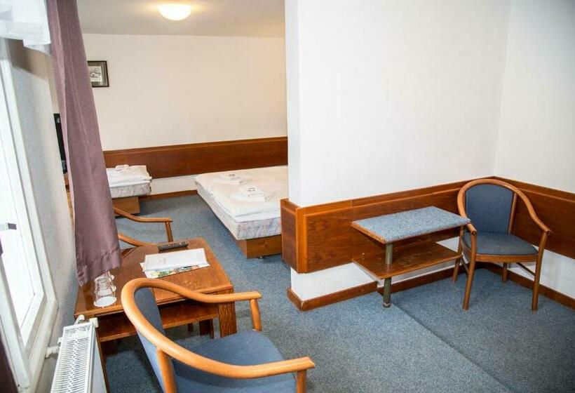 Standard Trippelrum, Lomnice