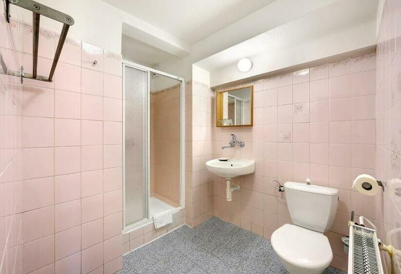 Standardrum, Lomnice