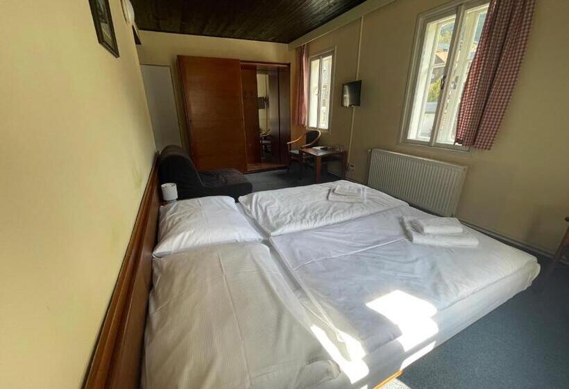 Standardrum, Lomnice