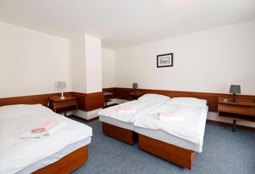 Standard Trippelrum, Lomnice