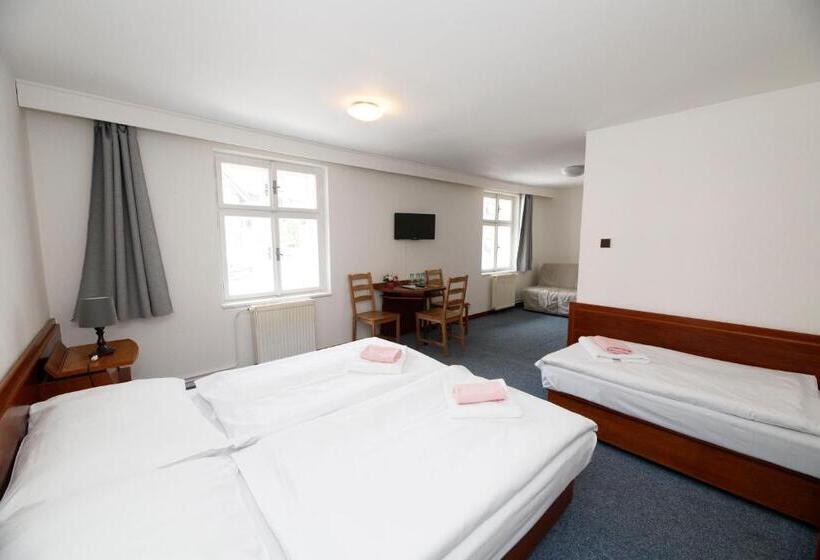 Standard Trippelrum, Lomnice