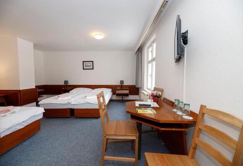 Standard Trippelrum, Lomnice