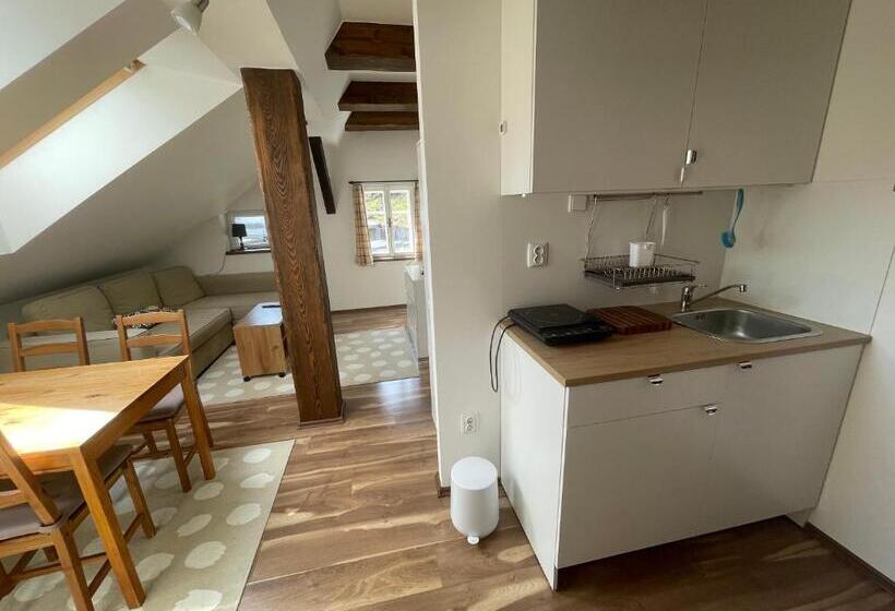 1 Sovrums Lägenhet, Lomnice