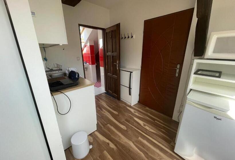 1 Sovrums Lägenhet, Lomnice