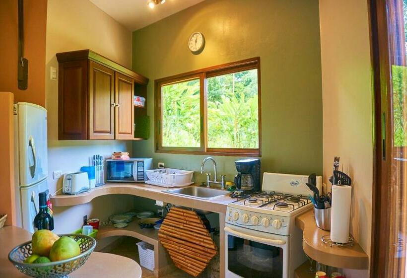 חדר סופריור לשלושה, Manoas