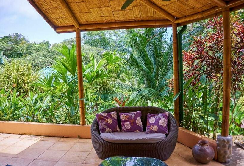 חדר סופריור לשלושה, Manoas