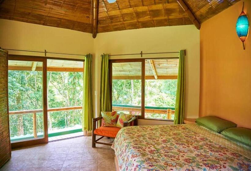 חדר סופריור לשלושה, Manoas