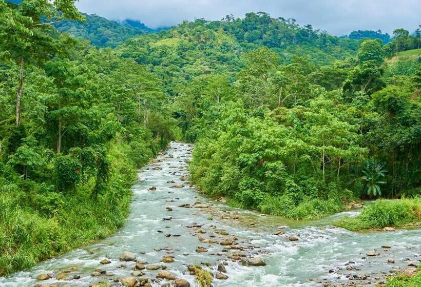 בית, חדר שינה 1, Manoas