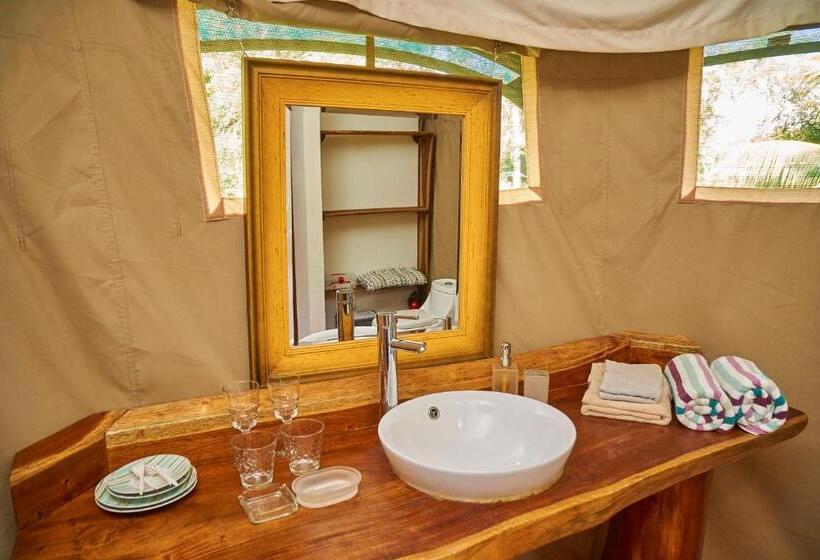 חדר סטנדרט לארבעה, Manoas