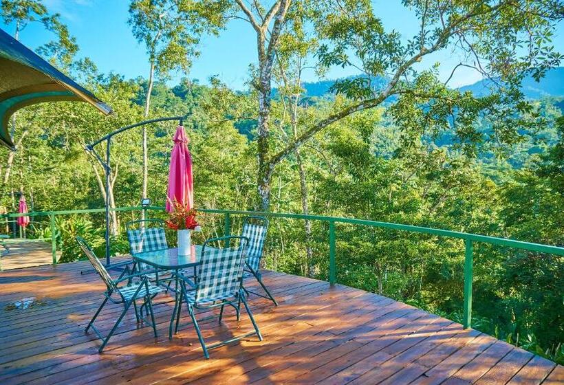 חדר סטנדרט לארבעה, Manoas