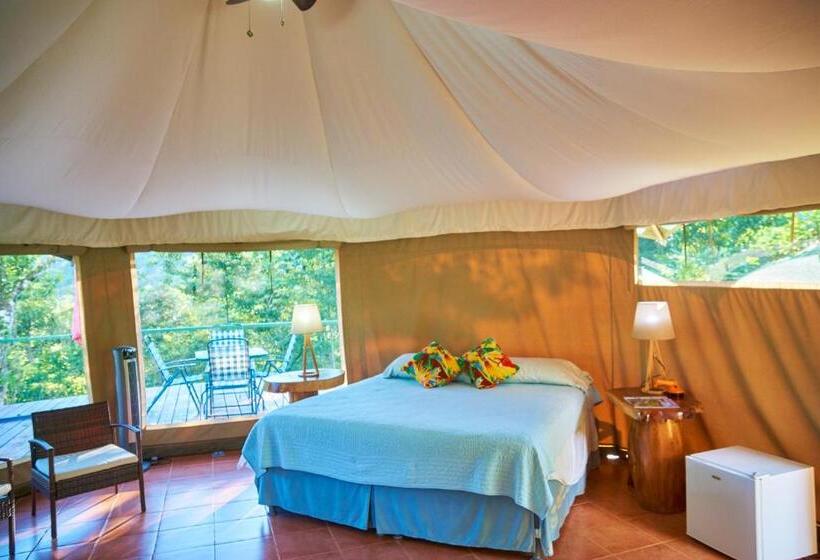 חדר סטנדרט לארבעה, Manoas