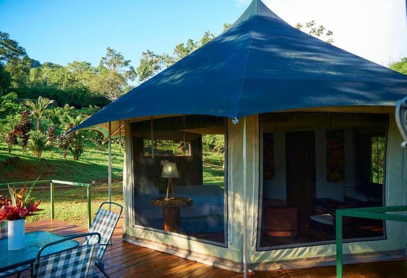 חדר סטנדרט לארבעה, Manoas