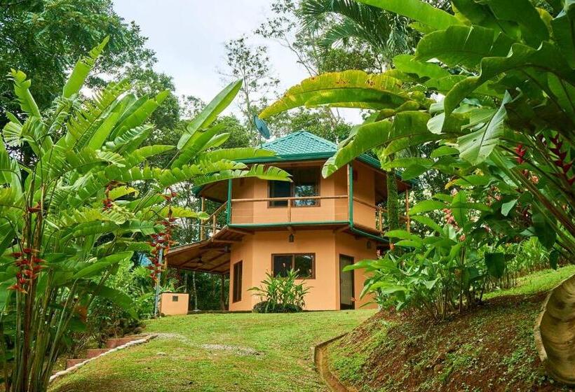 חדר סופריור לשלושה, Manoas