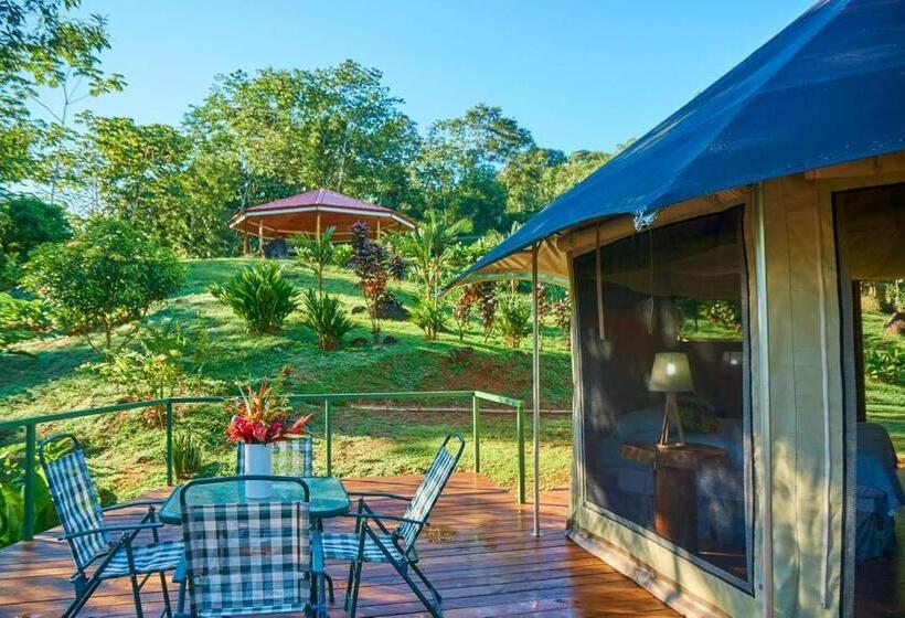 חדר סטנדרט לארבעה, Manoas