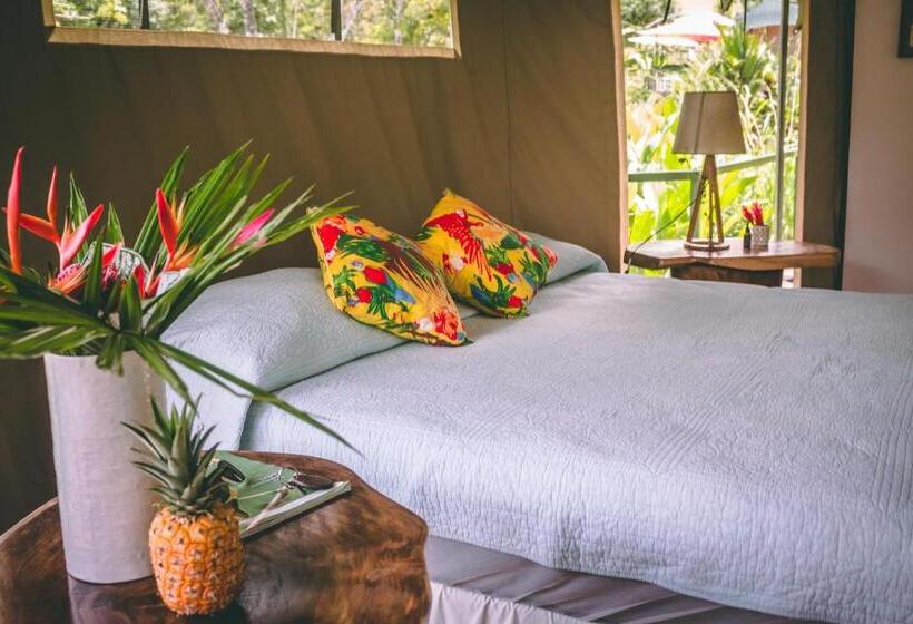 חדר סטנדרט לארבעה, Manoas