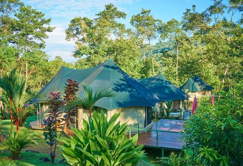 חדר סטנדרט לארבעה, Manoas