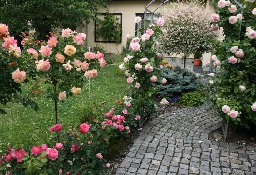 استودیوی استاندارد, Na Vodách