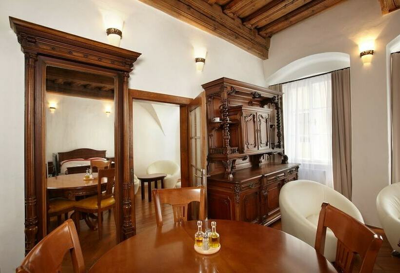 شقة غرفة واحدة, Residence Muzeum Vltavinu