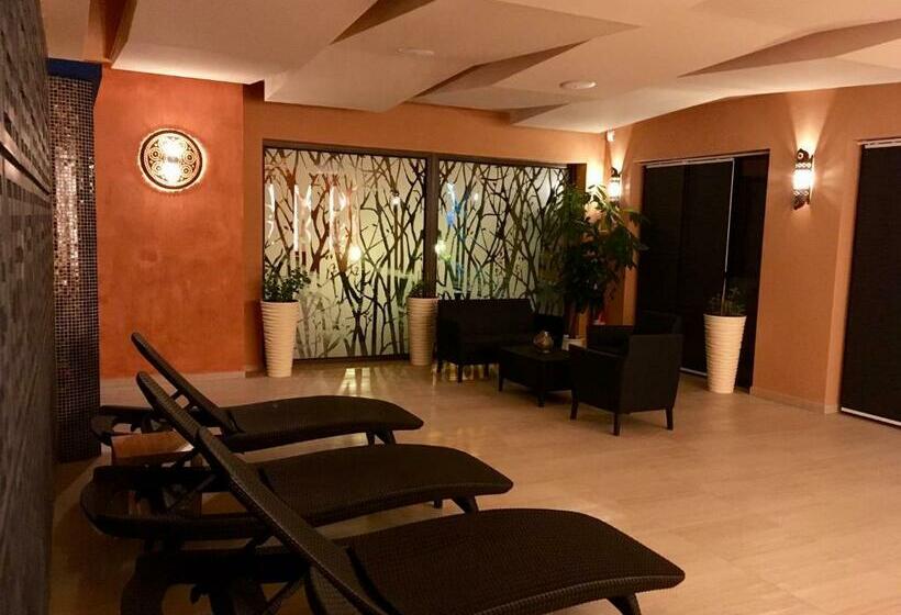 اتاق استاندارد, Spa & Wellness Hotel St. Moritz