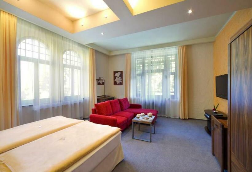 デラックスルーム, Spa & Wellness Hotel St. Moritz