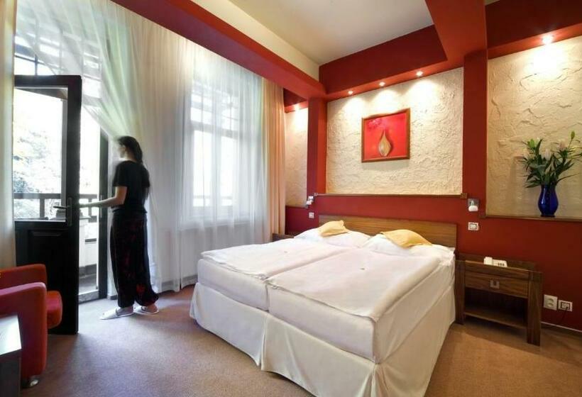 اتاق استاندارد, Spa & Wellness Hotel St. Moritz