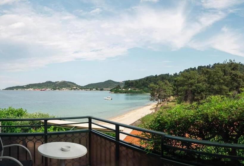 基本间, Villa Nisteri