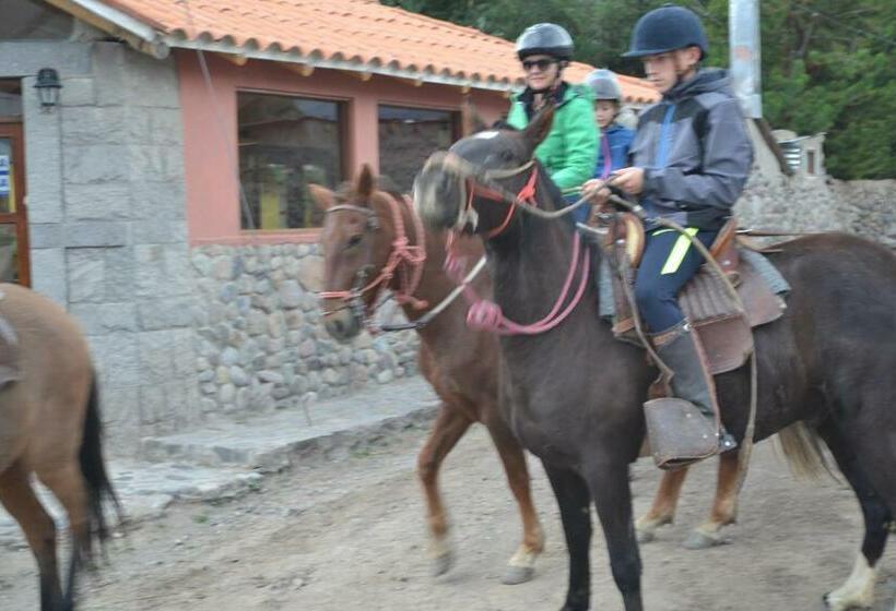 スタンダードルーム, Miskiwasi Bed & Breakfast