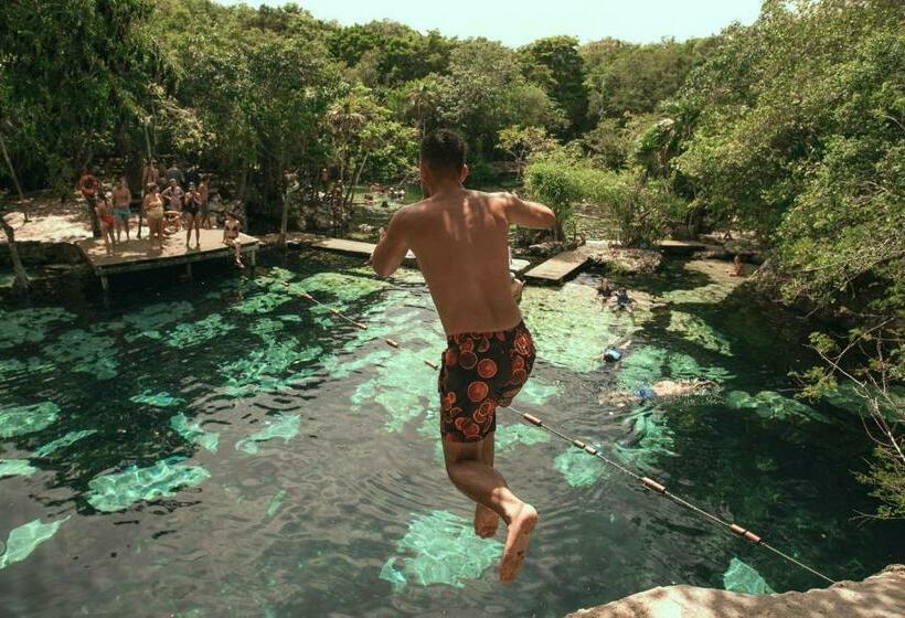 اتاق استاندارد چهار تخته, Che Playa Hostel & Bar Adults Only