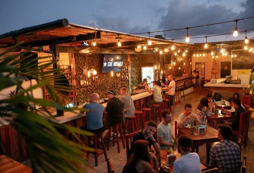 اتاق استاندارد چهار تخته, Che Playa Hostel & Bar Adults Only