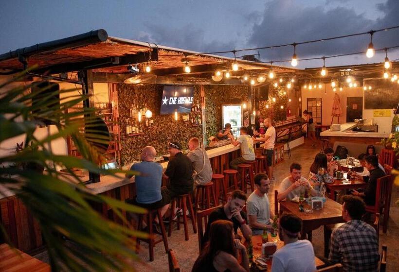 اتاق سوپریور, Che Playa Hostel & Bar Adults Only