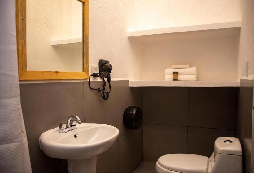 اتاق سوپریور, Che Playa Hostel & Bar Adults Only