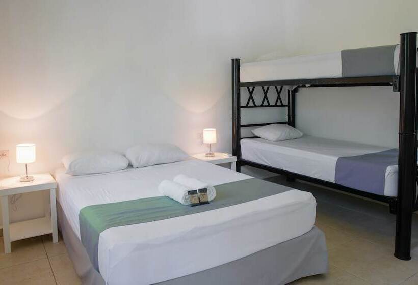 اتاق استاندارد سه نفره, Che Playa Hostel & Bar Adults Only