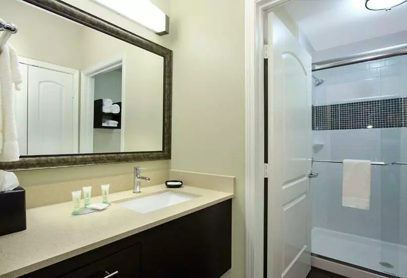 スタンダードルーム, Staybridge Suites   Houston   Medical Center, An Ihg
