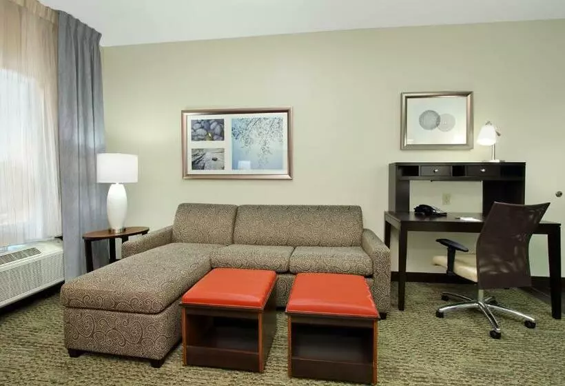 スタンダードスタジオ, Staybridge Suites   Houston   Medical Center, An Ihg