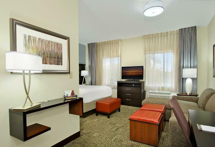 إستوديو قياسى, Staybridge Suites   Houston   Medical Center, An Ihg