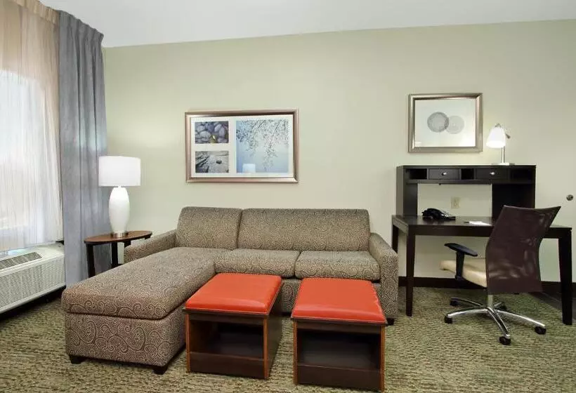 身障者適用スタンダードルーム, Staybridge Suites   Houston   Medical Center, An Ihg