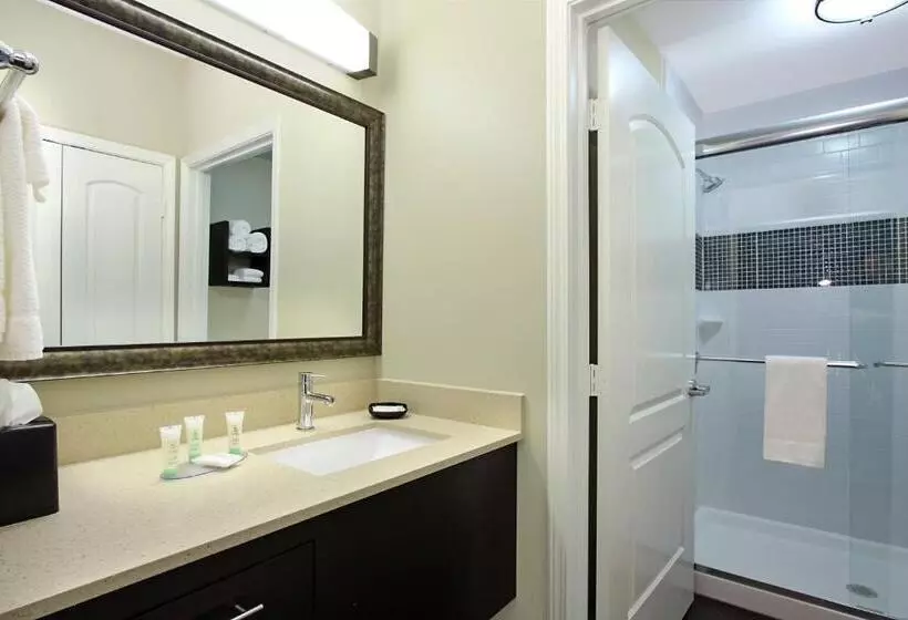身障者適用スタンダードルーム, Staybridge Suites   Houston   Medical Center, An Ihg