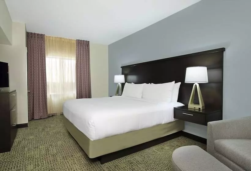 スイート, Staybridge Suites   Houston   Medical Center, An Ihg