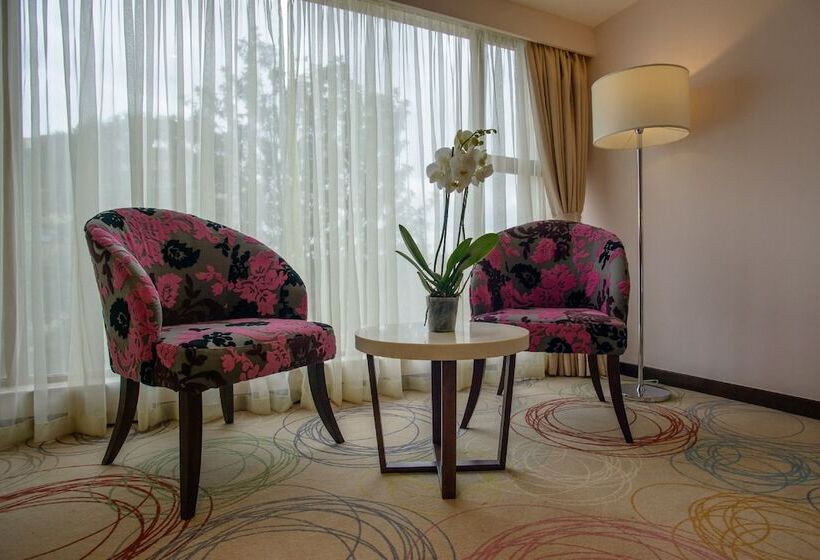 Superior-huone, The Concord Hotel & Suites