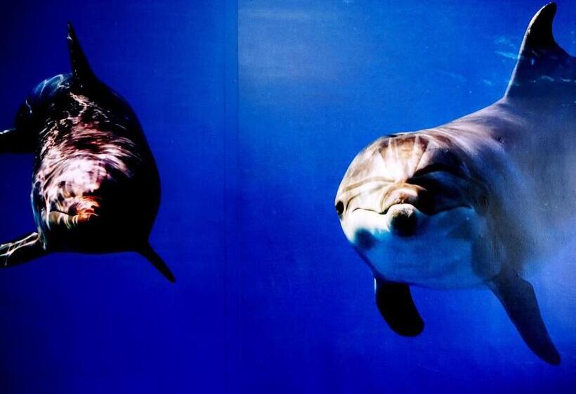 سوییت خانوادگی, Dolphin Castle