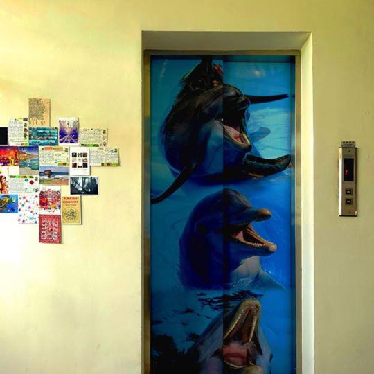 اتاق استاندارد, Dolphin Castle