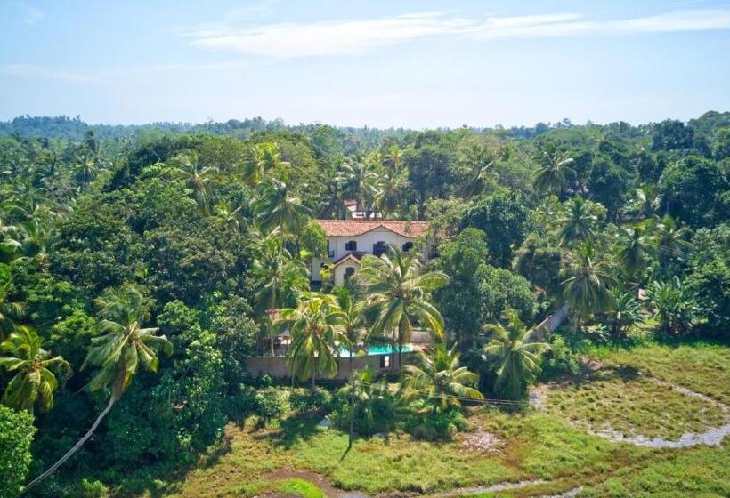 패밀리 룸, Galle Henna Estate