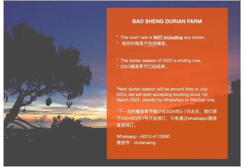 סוויטה משפחתית, Bao Sheng Durian Farm