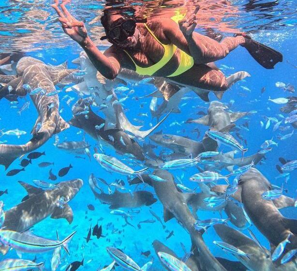 اتاق لوکس با چشم‌انداز استخر, Kaani Village & Spa