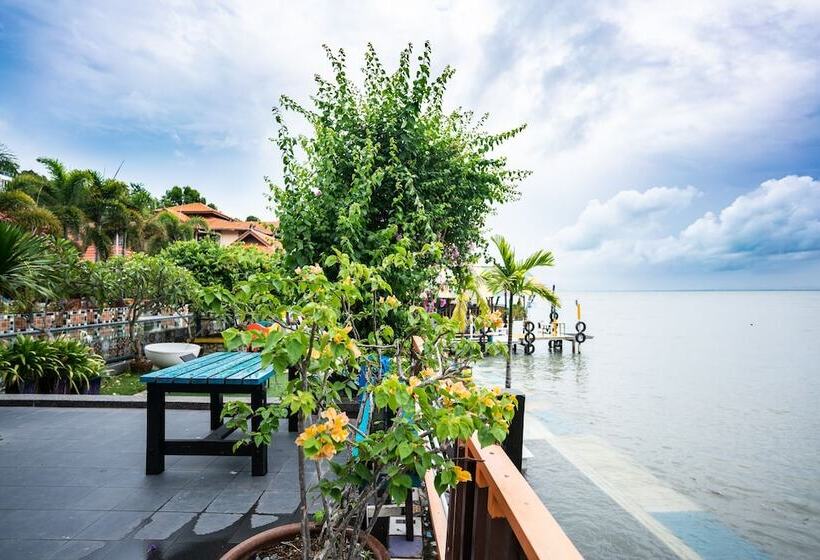 高级套房, Lost Paradise Resort