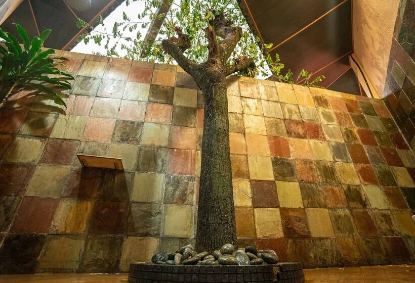 标准间, Lost Paradise Resort